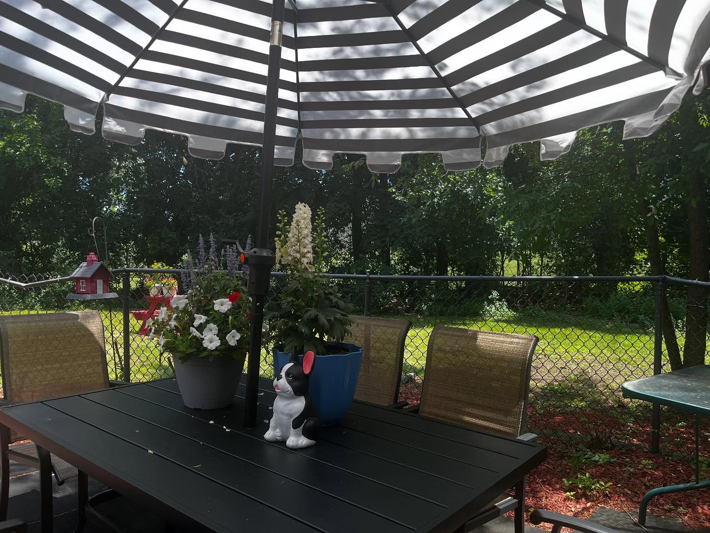 515337825_17984264549832177_531837920798056575_n